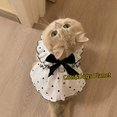 猫の服 夏用 薄手 メッシュ 通気性抜群 リード穴付き 超可愛い リボン ワンピース 毛抜け防止 クーラー対策 風邪予防 全猫種対応 ペット服