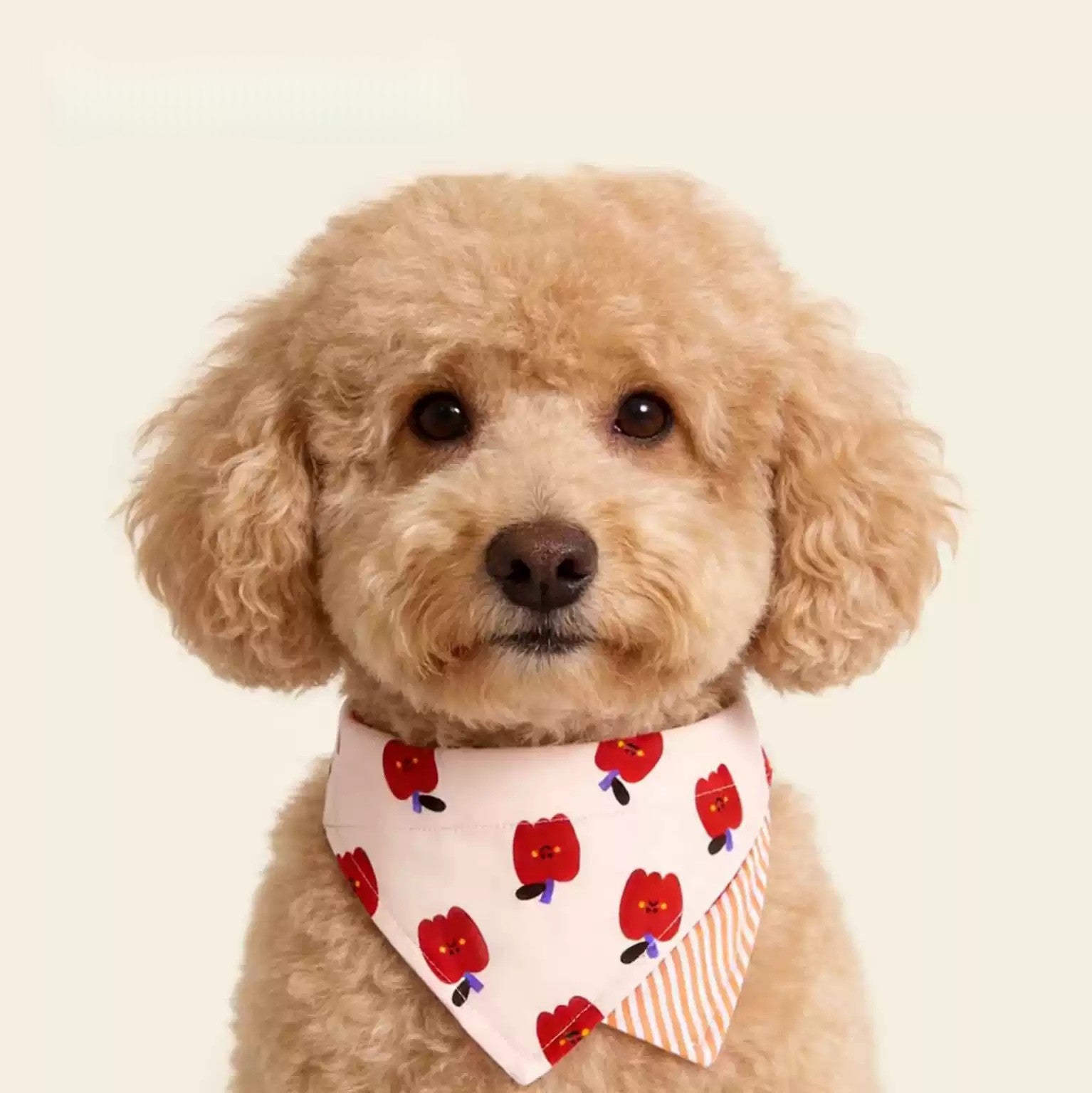 【トレンド】犬 バンダナ スタイ スカーフ 首輪 キャラクター柄 カトーン 犬用 ネックウォーマー おしゃれ かわいい 散歩 ファッション 小型犬 中型犬