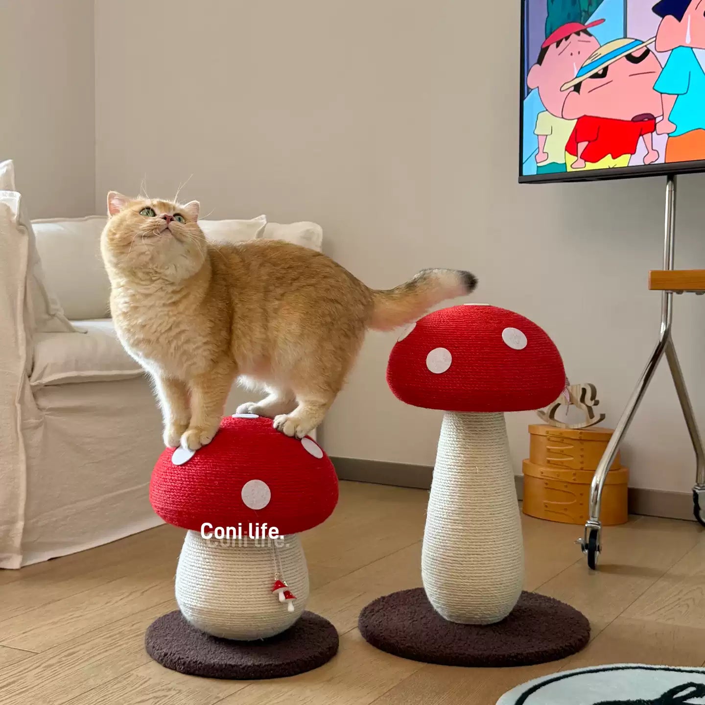 【SNS映え】猫 爪とぎ キノコ型 据え置き 麻縄 キャットタワー 爪とぎポール 耐久性抜群 カスが出にくい サイザル麻 縦置き 猫タワー 室内 おもちゃ