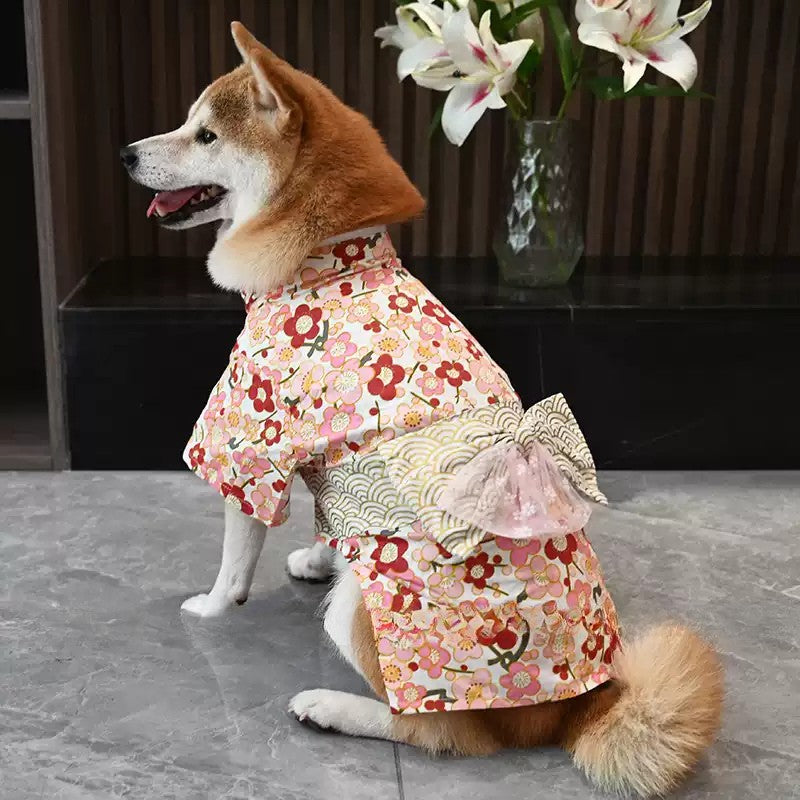 【夏祭りや花火大会に✨】柴犬ちゃんにもぴったりな和風ドッグウェア。お散歩がもっと楽しくなる、綿100%の涼しい薄手浴衣（着物）です。おうちでの抜け毛防止やお出かけ時の注目度も抜群！