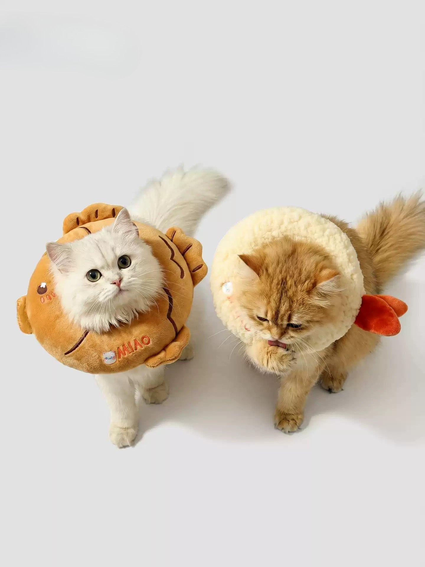 【舐め・噛み防止】エリザベスカラー 猫 犬 ペット用 首輪 軽量 術後 介護 避妊 去勢手術 傷口保護 ドッグウェア キャットウェア 小型犬 子犬 子猫