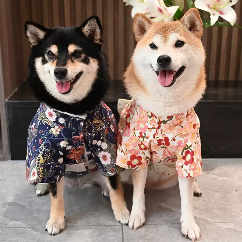 【夏祭りや花火大会に✨】柴犬ちゃんにもぴったりな和風ドッグウェア。お散歩がもっと楽しくなる、綿100%の涼しい薄手浴衣（着物）です。おうちでの抜け毛防止やお出かけ時の注目度も抜群！