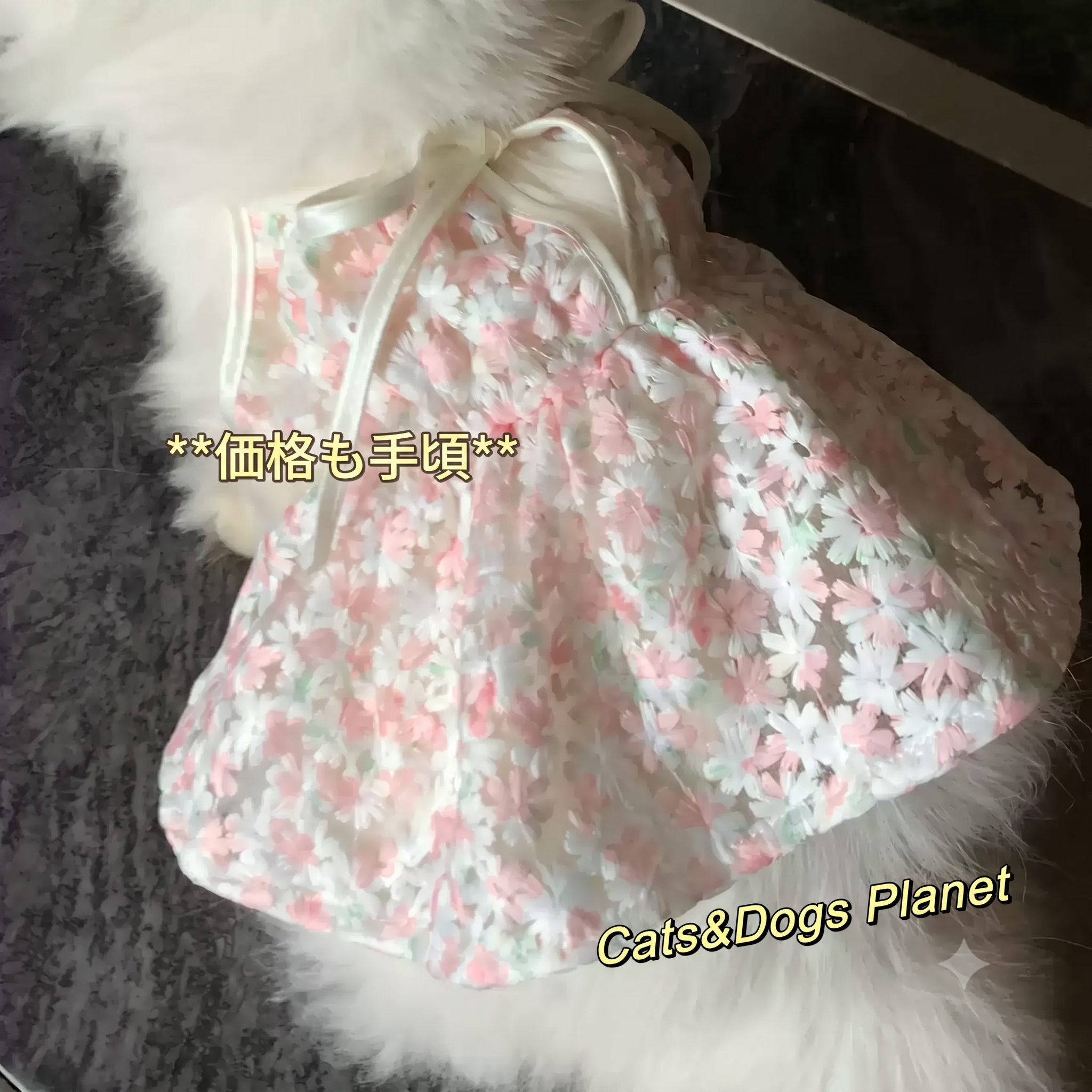 【お姫様になれる夏ドレス】超可愛い桜の刺繍が入った、薄手で涼しいプリンセス風ワンピース。お部屋の抜け毛防止にも大活躍！すべての猫ちゃんを華やかに彩る、この夏マストの一着です。