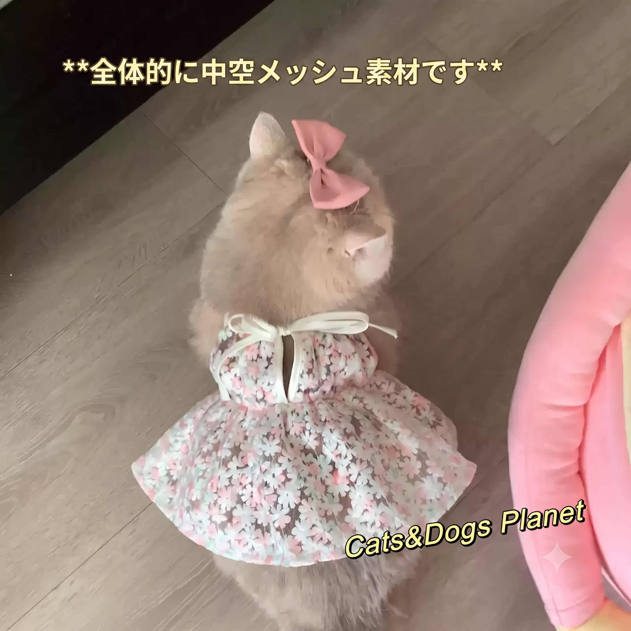 【お姫様になれる夏ドレス】超可愛い桜の刺繍が入った、薄手で涼しいプリンセス風ワンピース。お部屋の抜け毛防止にも大活躍！すべての猫ちゃんを華やかに彩る、この夏マストの一着です。