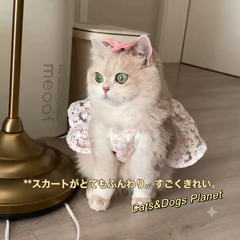 【お姫様になれる夏ドレス】超可愛い桜の刺繍が入った、薄手で涼しいプリンセス風ワンピース。お部屋の抜け毛防止にも大活躍！すべての猫ちゃんを華やかに彩る、この夏マストの一着です。