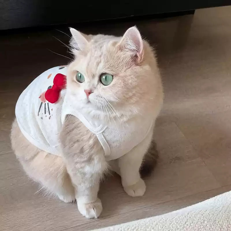 【主役級の可愛さ！】大きな赤いリボンがアクセントの夏用薄手ベスト。夏の冷房による風邪（お腹の冷え）を防ぎ、お部屋にフワフワ舞う抜け毛もしっかりガード！可愛いと機能性を兼ね備えた1枚です。