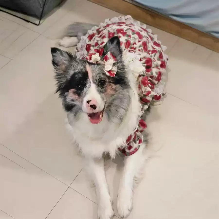 【中大型犬】中大型犬用 ローズプリンセスドレス 犬服 ワンピース スカート お散歩 快適 抜け毛防止 部屋着（ゴールデンレトリバー・ボーダーコリー対応）サマーウェア