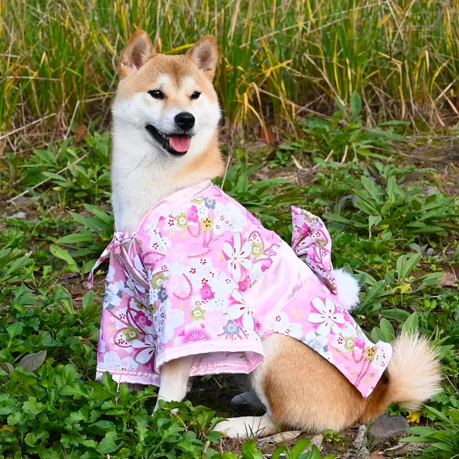 犬の服 夏用 薄手 浴衣 着物 柴犬 服 犬服 ペット服 ドッグウェア 散歩 抜け毛防止 花火大会 夏祭り 綿100% コットン 和柄 お祭り 小型犬 中型犬