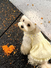 【夏用・薄手】犬服 デイジー柄 キャミワンピ タンクトップ ドッグウェア 小雛菊 お散歩 爽やか さわやかスタイル 子犬 トイプードル チワワ ビションフリーゼ 小型犬 ペット服