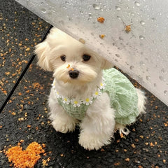 【夏用・薄手】犬服 デイジー柄 キャミワンピ タンクトップ ドッグウェア 小雛菊 お散歩 爽やか さわやかスタイル 子犬 トイプードル チワワ ビションフリーゼ 小型犬 ペット服