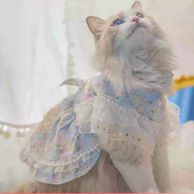 【気分は小さなお姫様✨】甘くてゴージャスなロリータ風サマー風ドレス。涼しい薄手素材で、夏のエアコン冷え（風邪予防）＆お部屋のフワフワ飛ぶ毛をエレガントに解決！愛猫を一番可愛く魅せる主役級の1枚です。