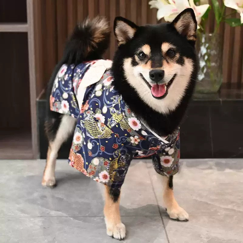 【夏祭りや花火大会に✨】柴犬ちゃんにもぴったりな和風ドッグウェア。お散歩がもっと楽しくなる、綿100%の涼しい薄手浴衣（着物）です。おうちでの抜け毛防止やお出かけ時の注目度も抜群！
