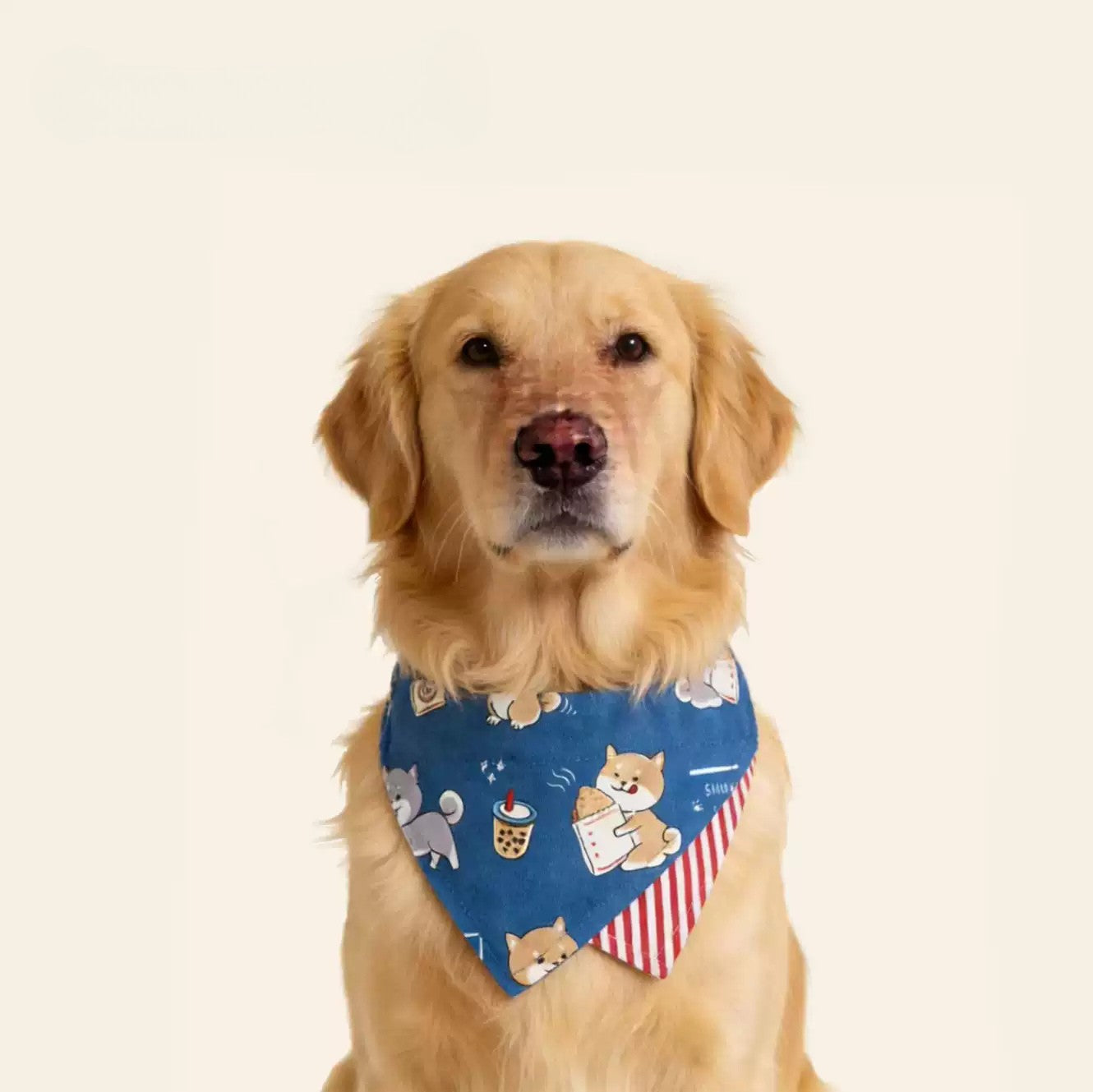 【トレンド】犬 バンダナ スタイ スカーフ 首輪 キャラクター柄 カトーン 犬用 ネックウォーマー おしゃれ かわいい 散歩 ファッション 小型犬 中型犬